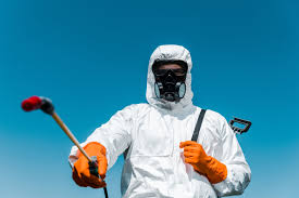 Best Fumigation Services  in Lyncourt, NY